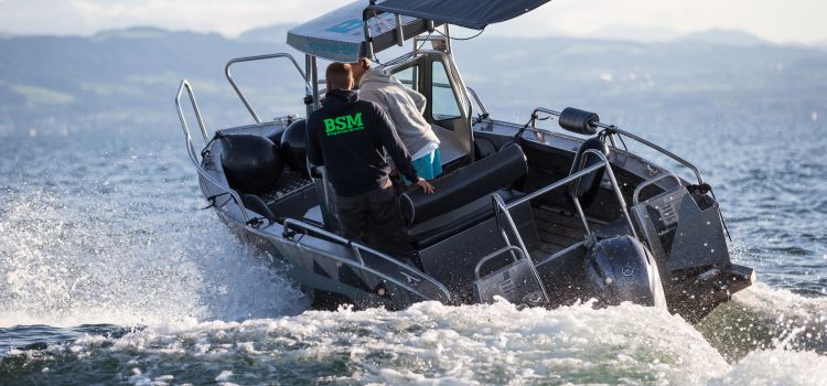 Segelschule BSM Motorboot Navy im Lenken